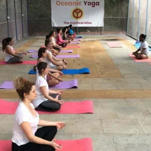 200-hour-Yoga-Teacher-Training-in-Goa-India